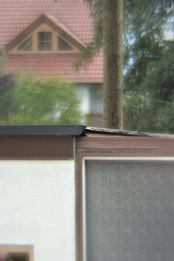 DSC 8570