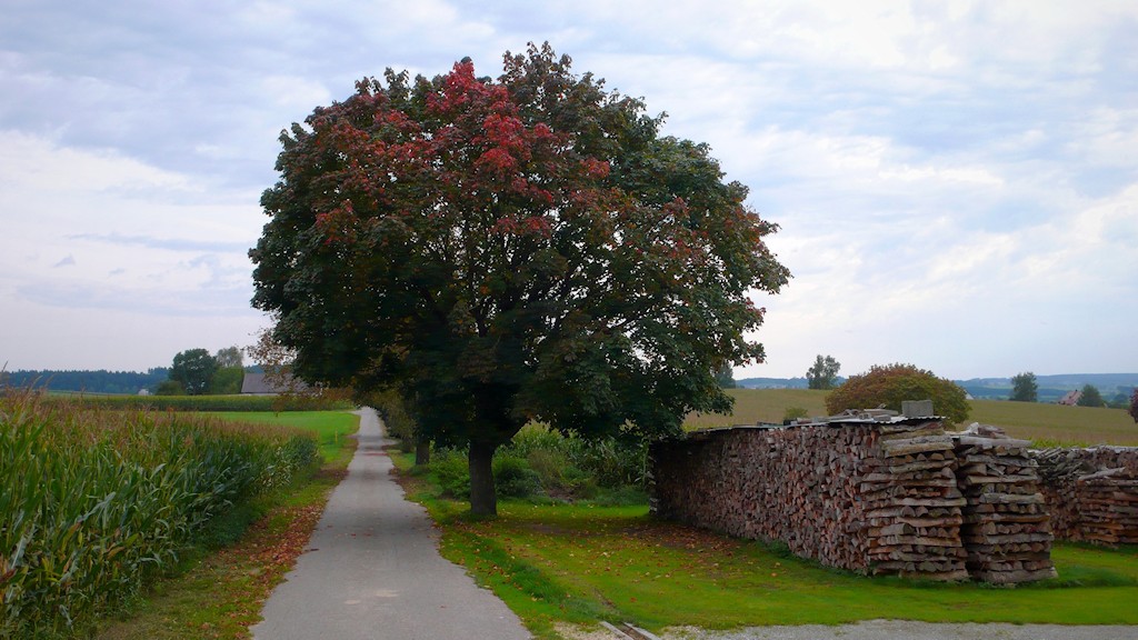 DSC 8574