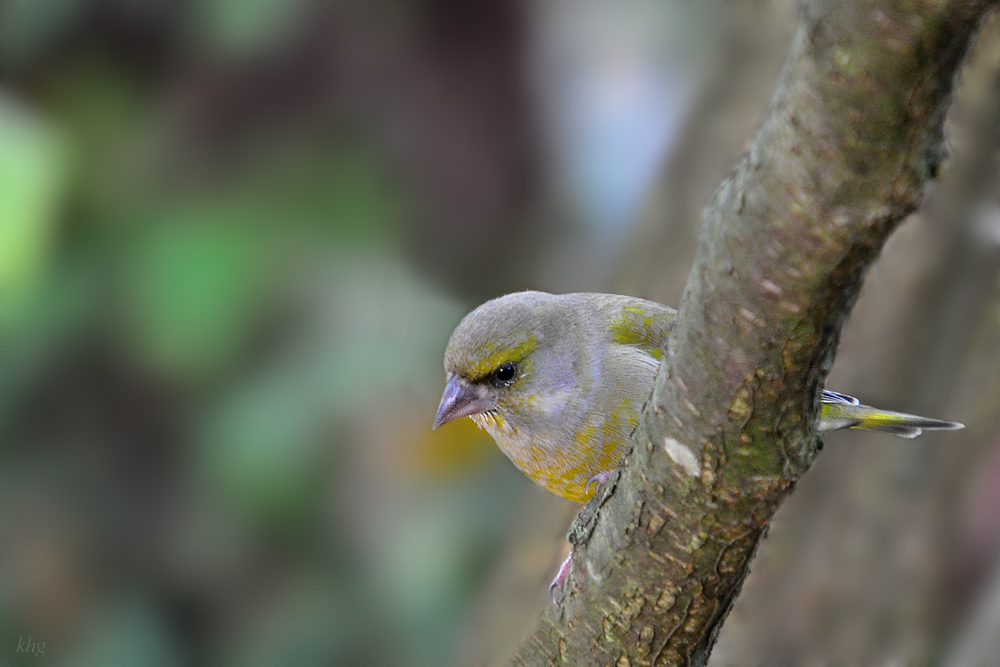 DSC 8579 1000