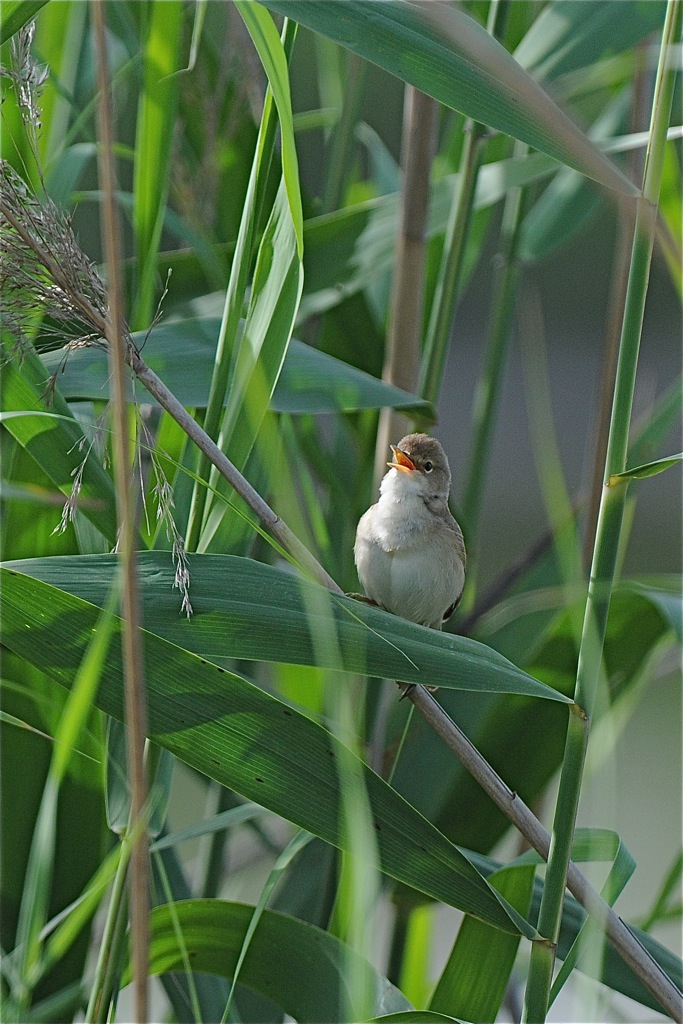 DSC 8584