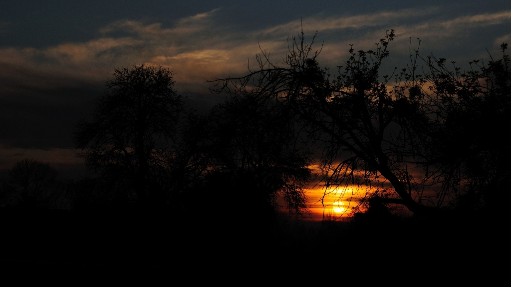 DSC 8596 481 (1024x575)