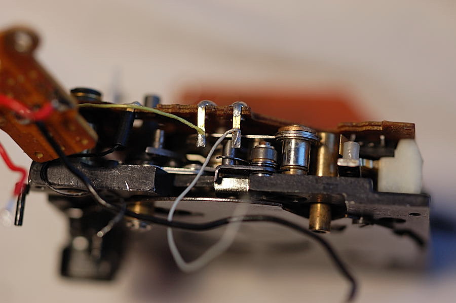 DSC 8596