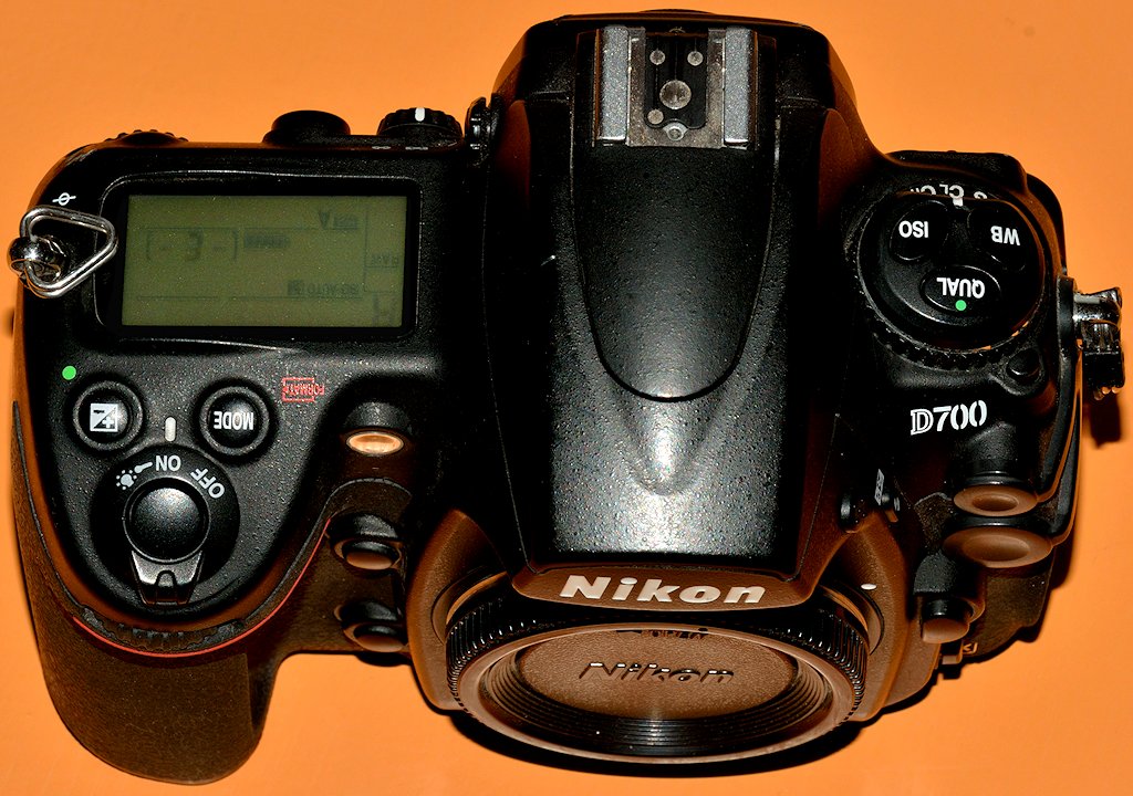 DSC 8607