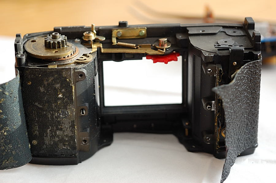 DSC 8611