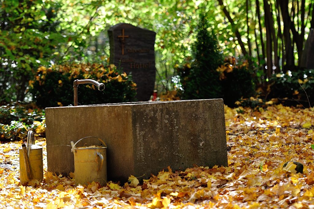 DSC 8615 Brunnen