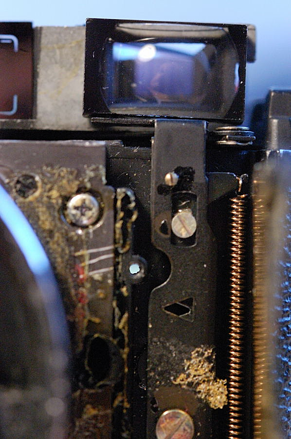 DSC 8620