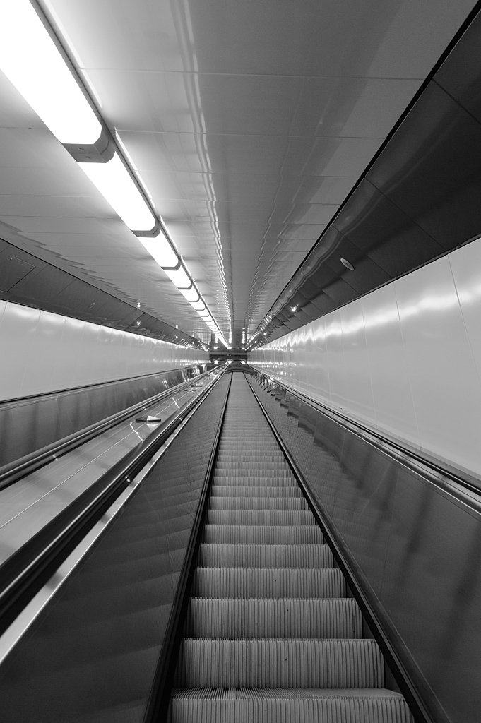 DSC 8647a