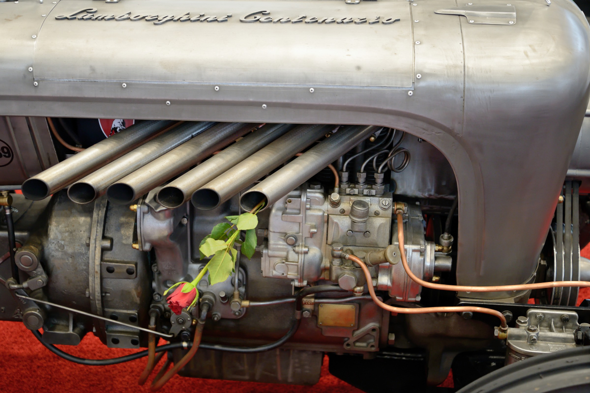 DSC 8664 00001
