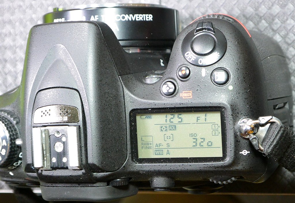 DSC 8708