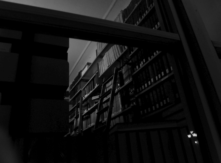 DSC 8712 web crop sw