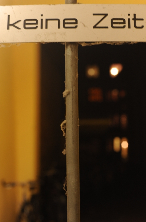 DSC 8738 web crop