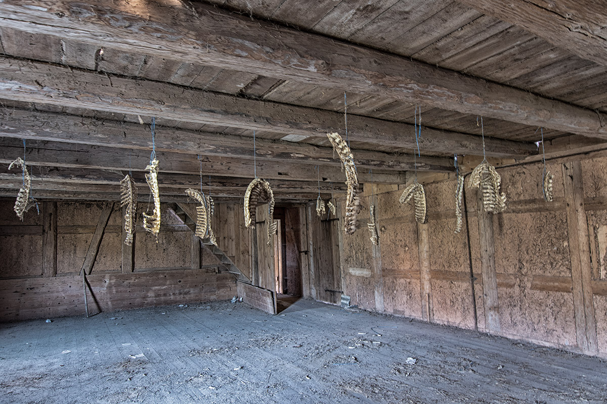 DSC 8759