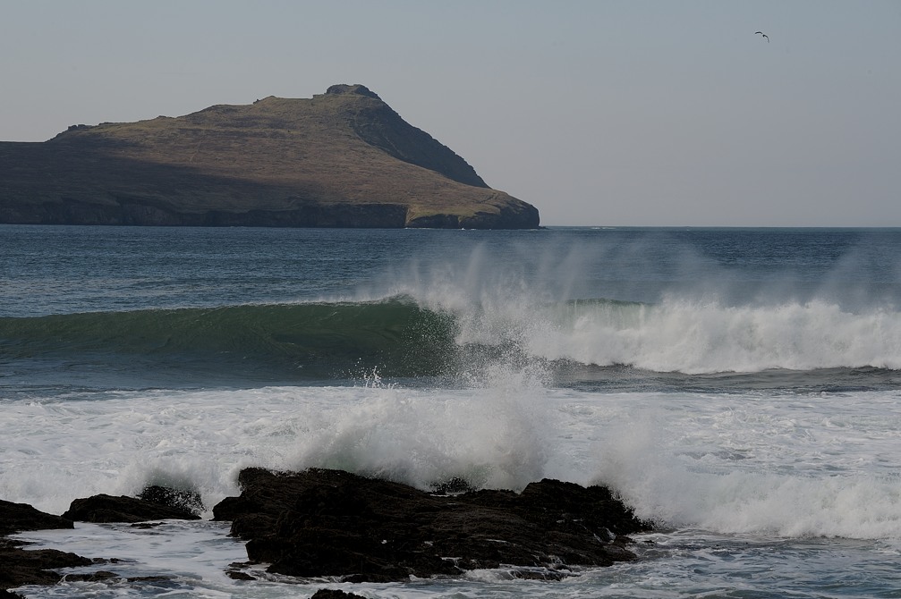 DSC 8760a