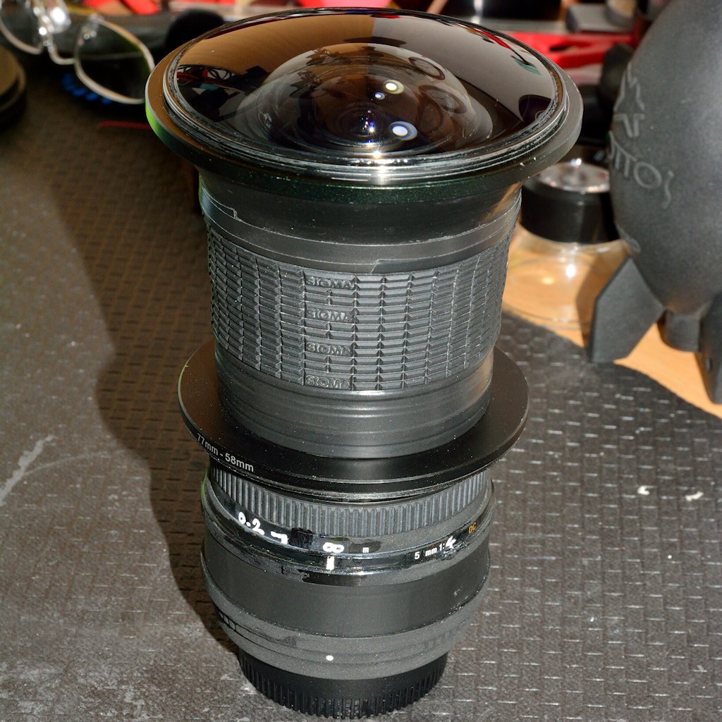 DSC 8771
