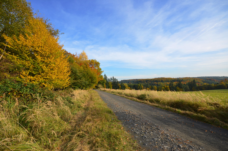 DSC 8772 1