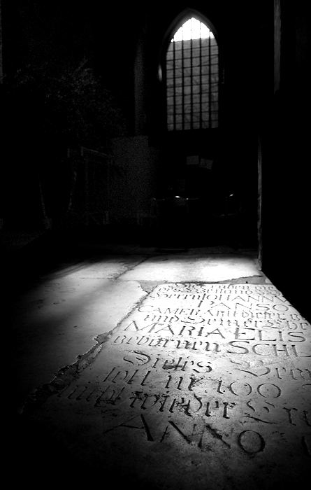 DSC 8871 web