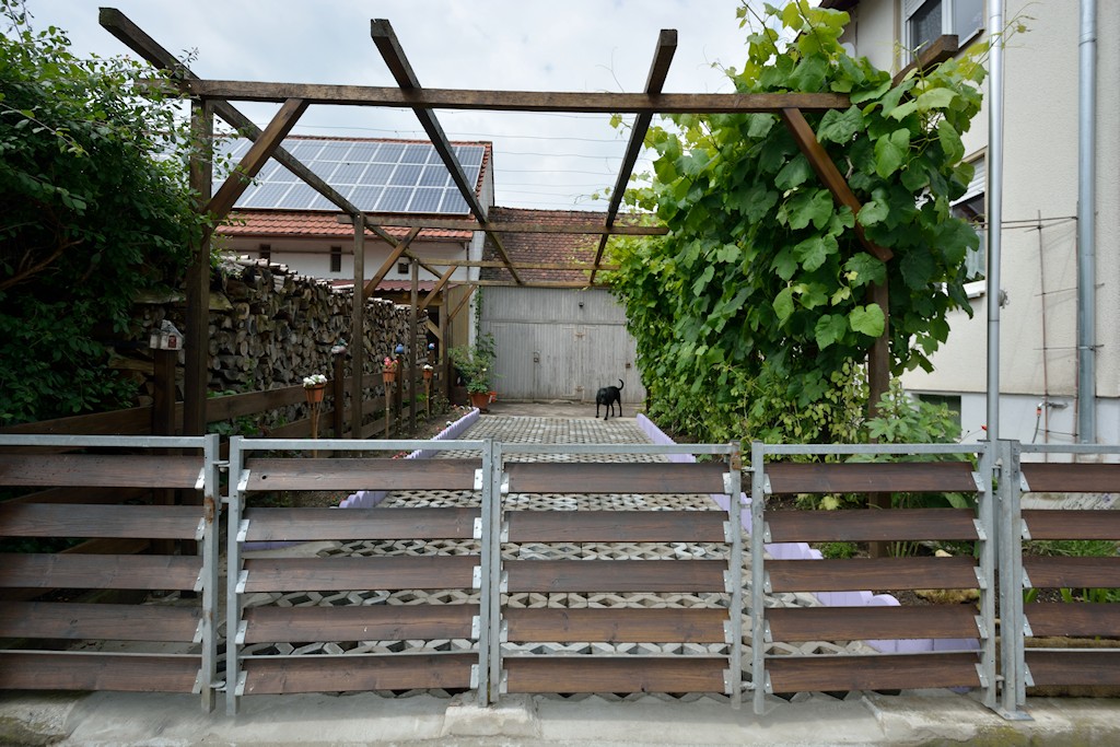 DSC 8920