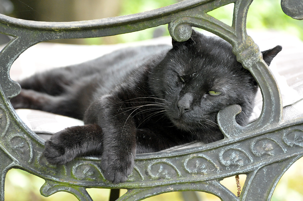 DSC 8921