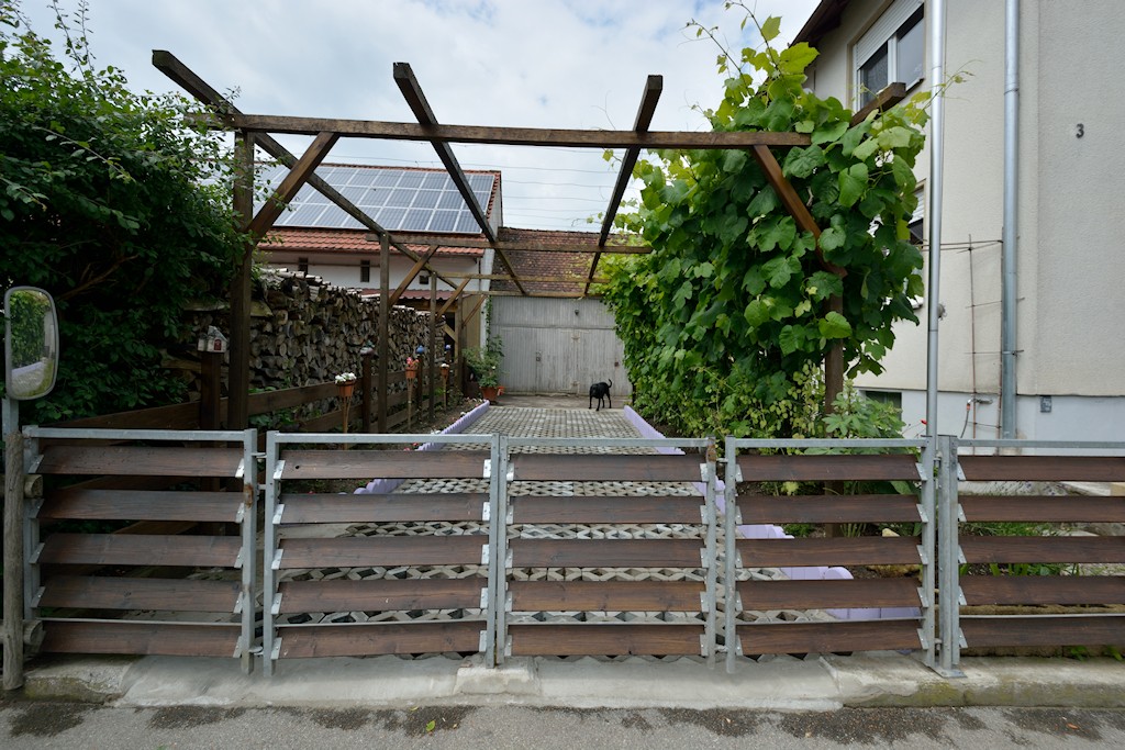 DSC 8921