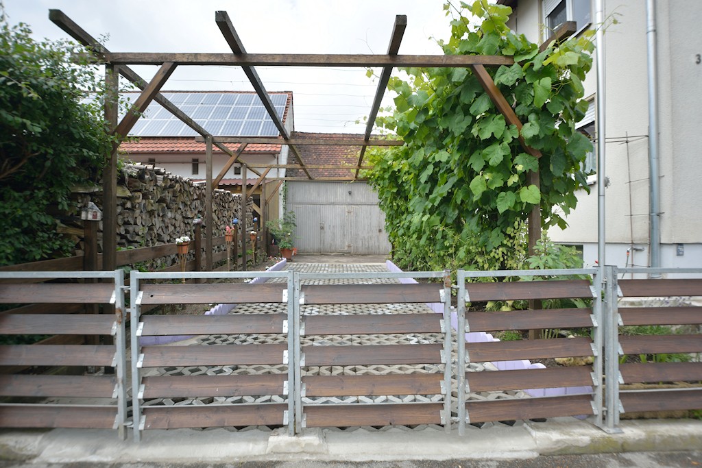 DSC 8923