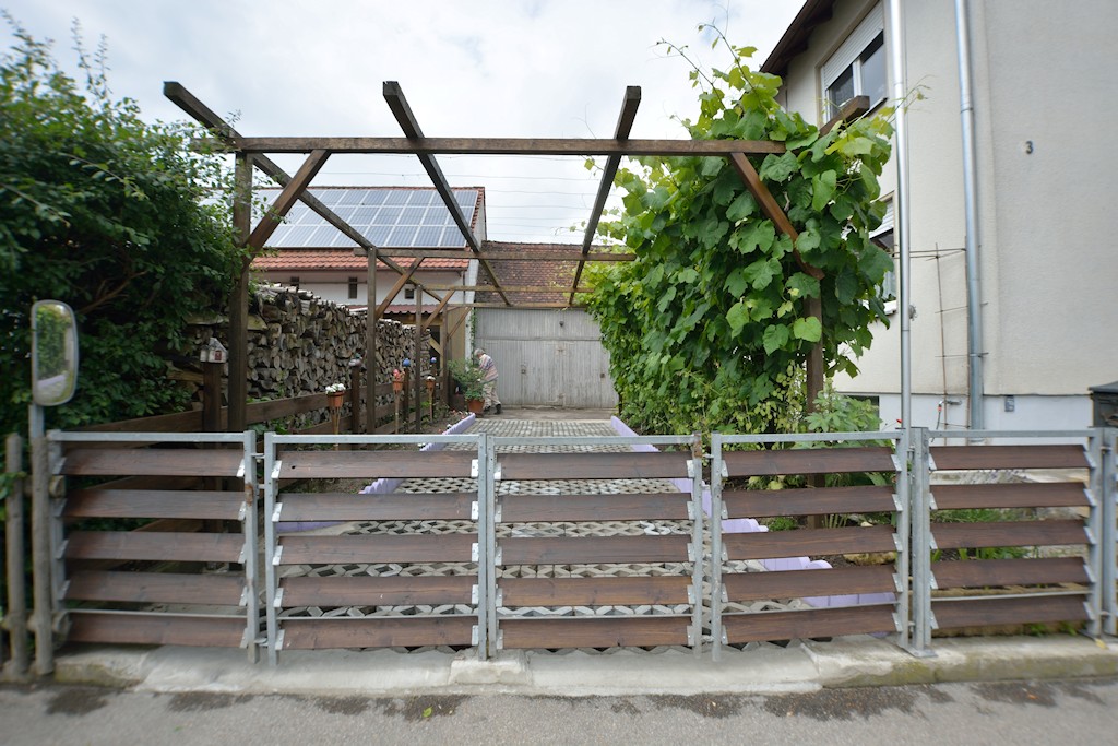 DSC 8924