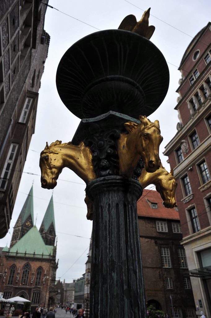 DSC 89280001