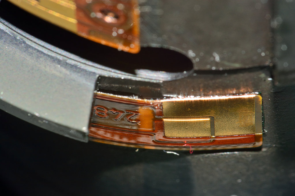 DSC 8954