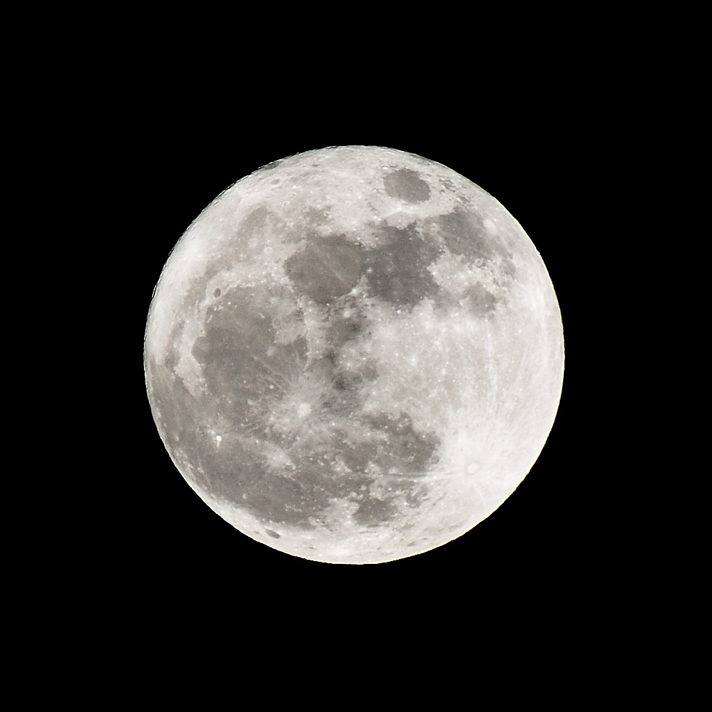 DSC 8981 2011 03 19 798