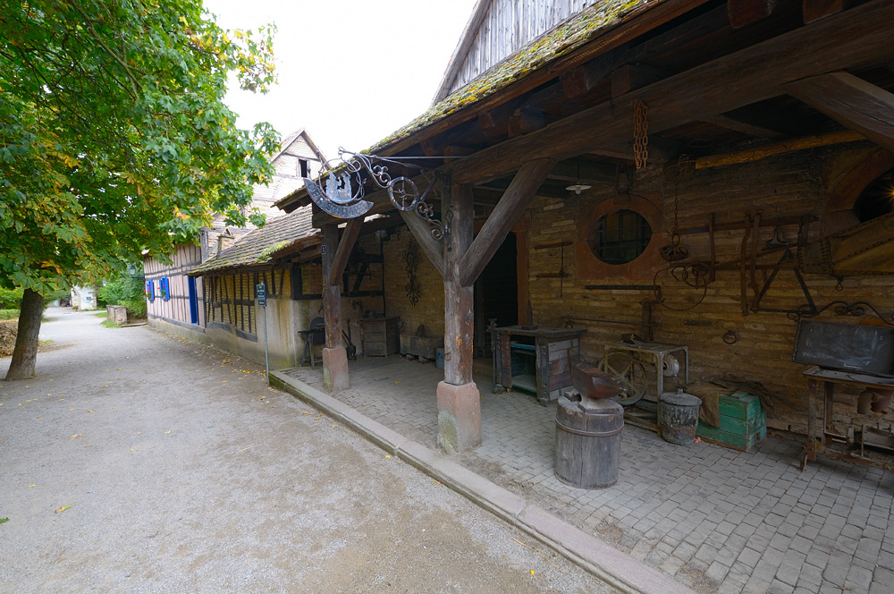 DSC 8991