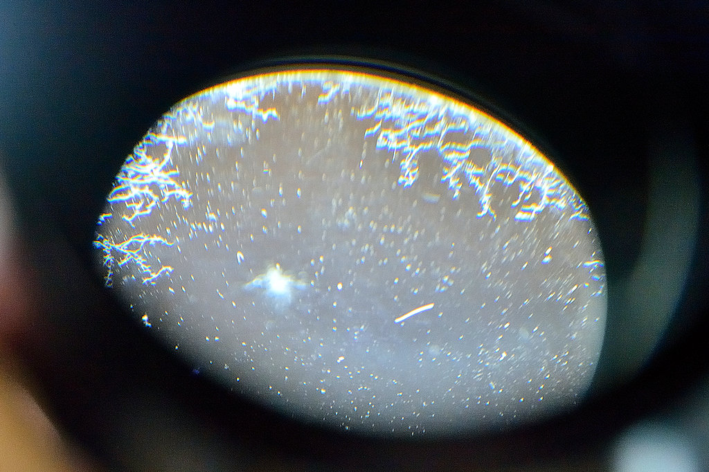 DSC 9003
