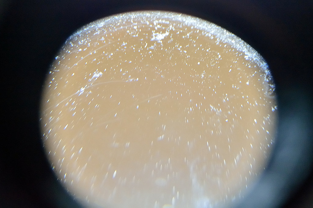 DSC 9004