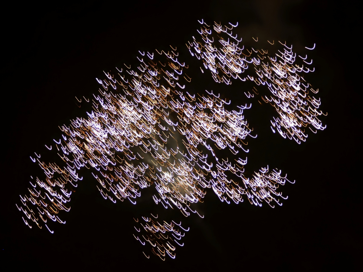 DSC 9040 02