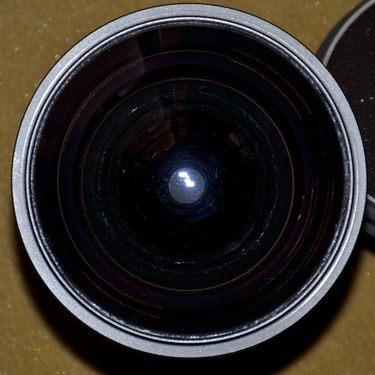 DSC 9059