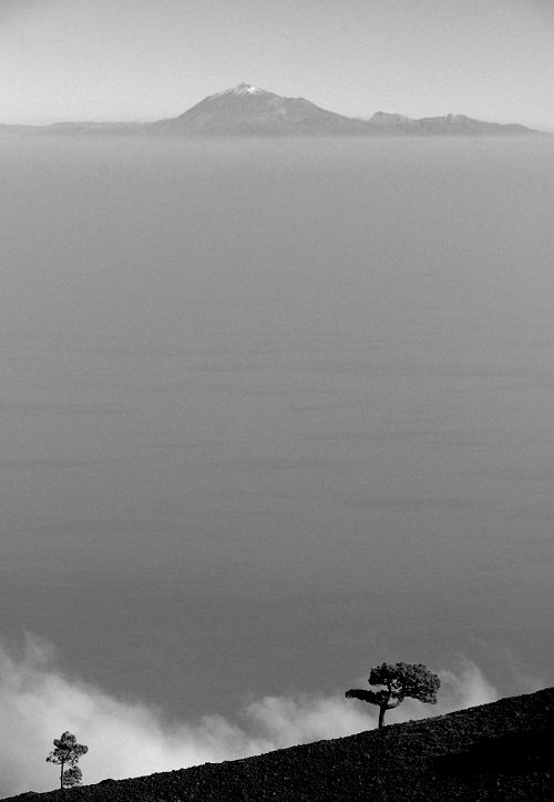 DSC 9071 Teide II SW Forum
