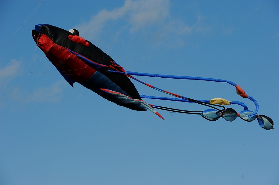 DSC 9088a