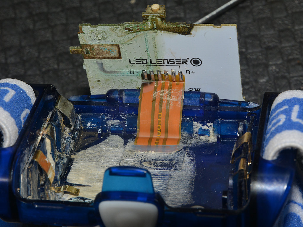 DSC 9101