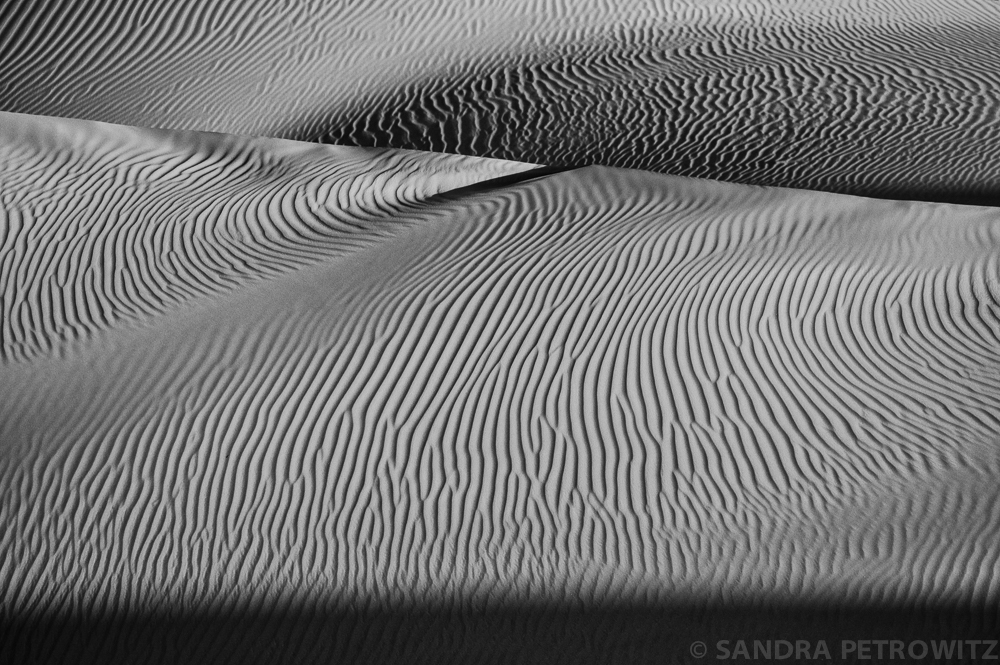 DSC 9147 BW