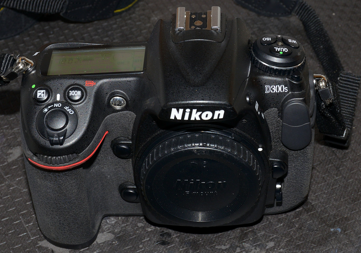 DSC 9171