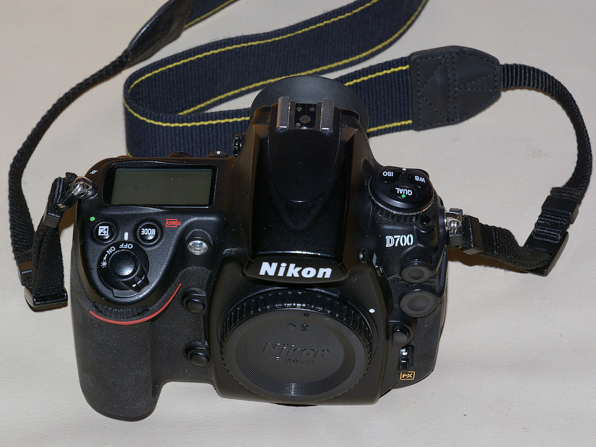 DSC 9185