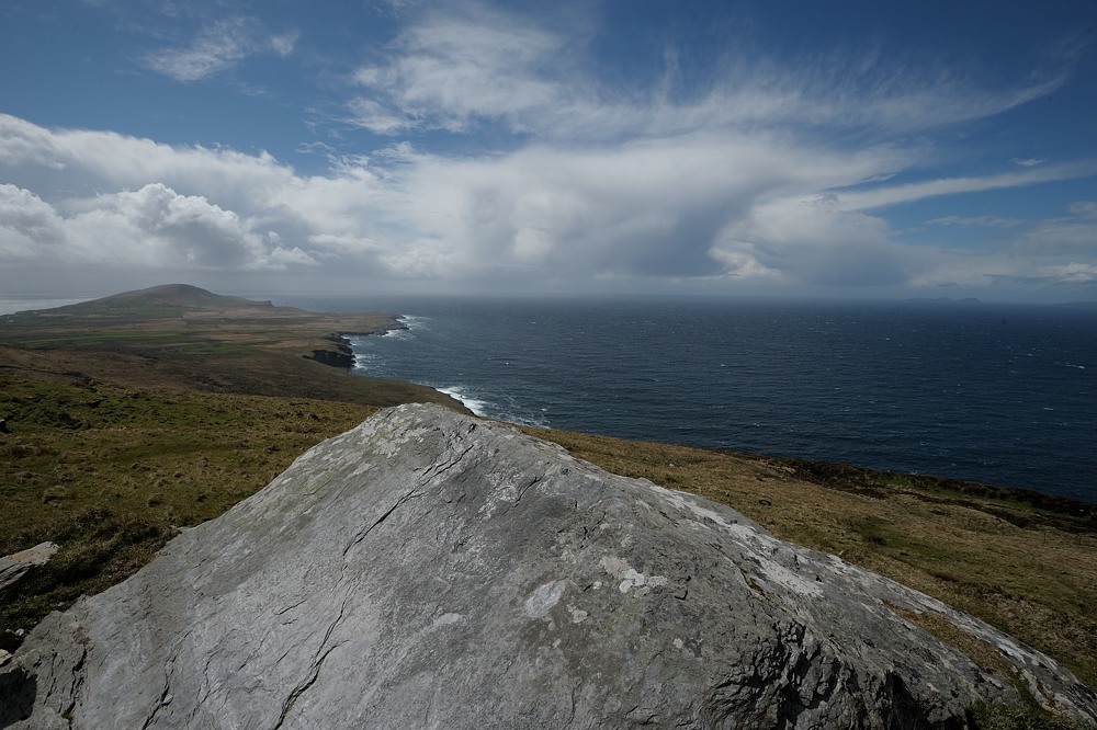 DSC 9220a