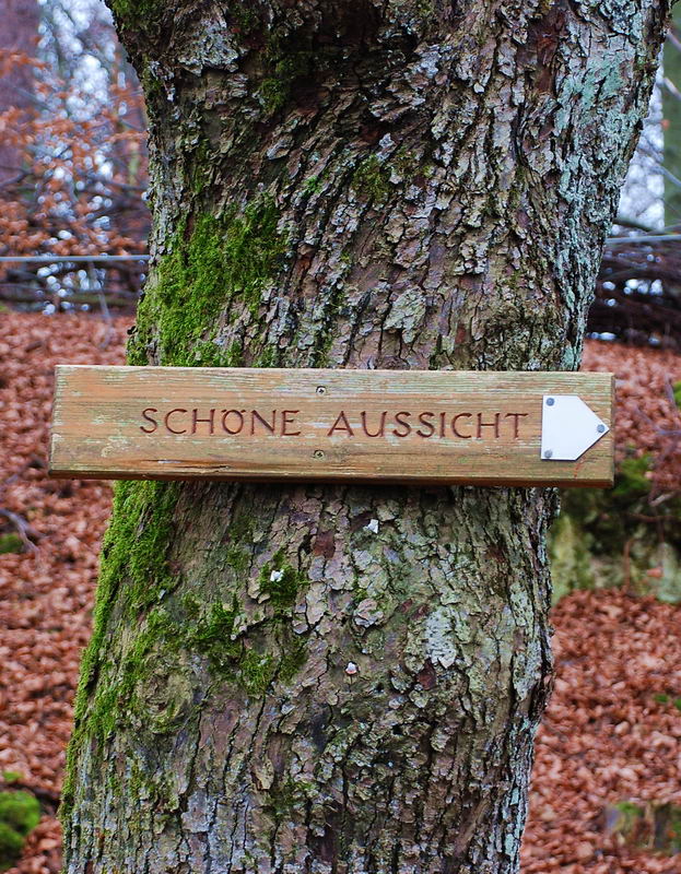 DSC 9306asf Bildgröße ändern