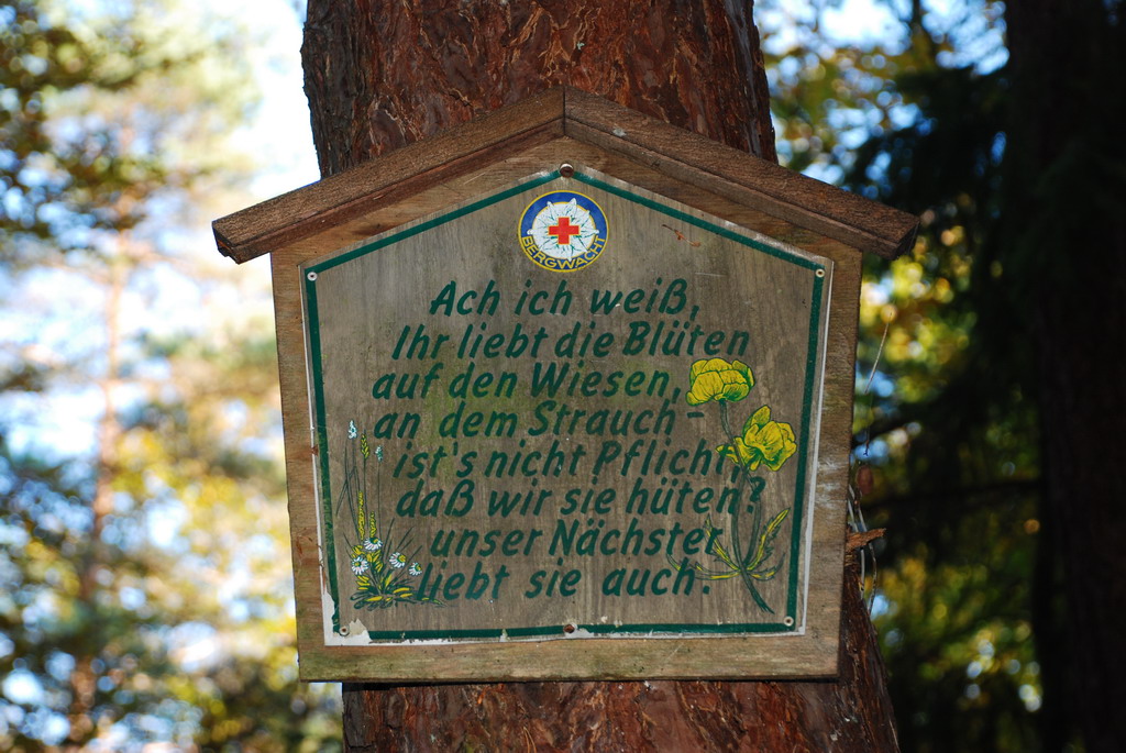 DSC 9342 Bildgröße ändern