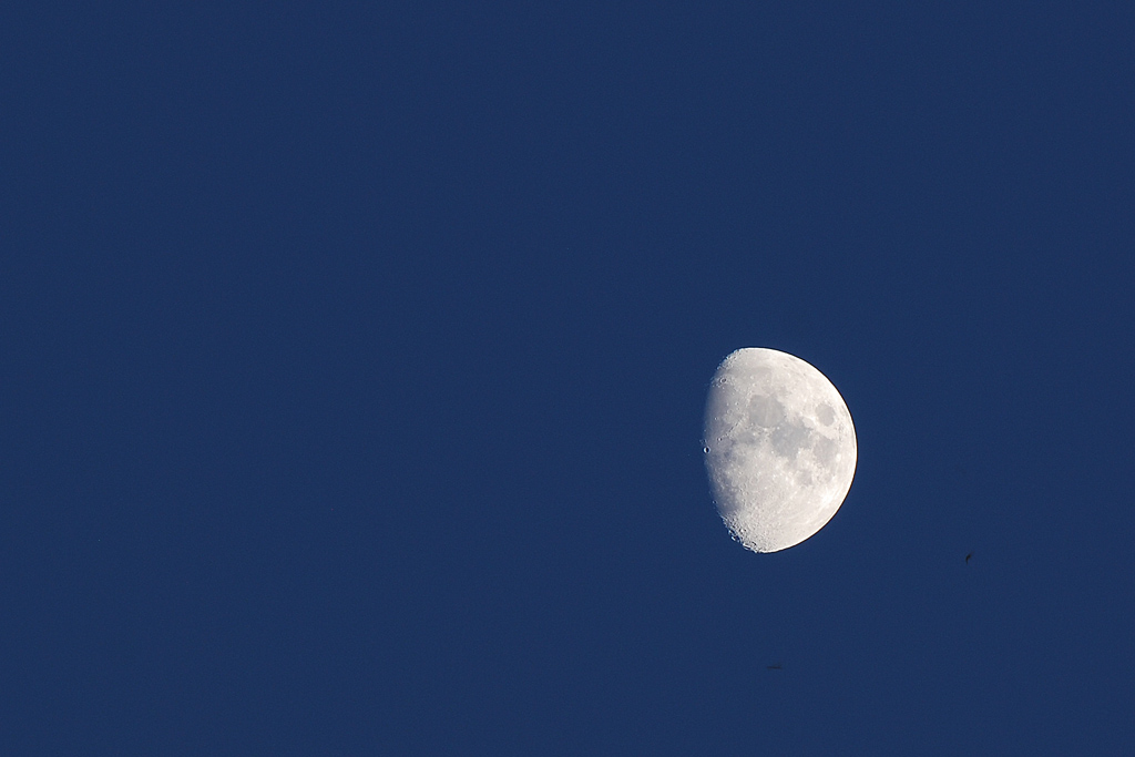 DSC 9370 NF F