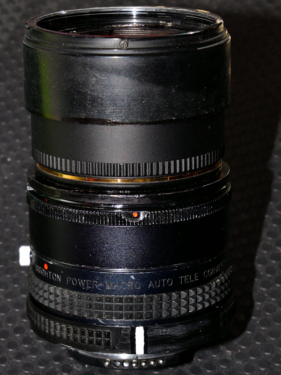 DSC 9426