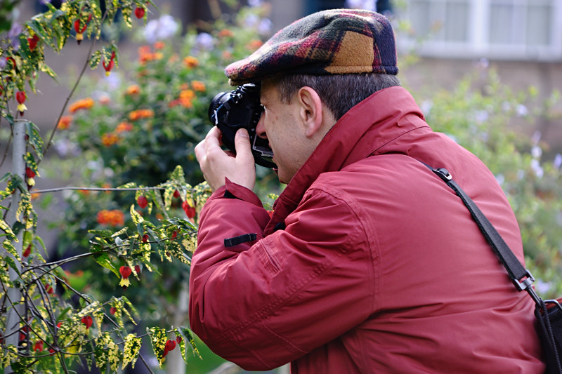 DSC 9439 ak
