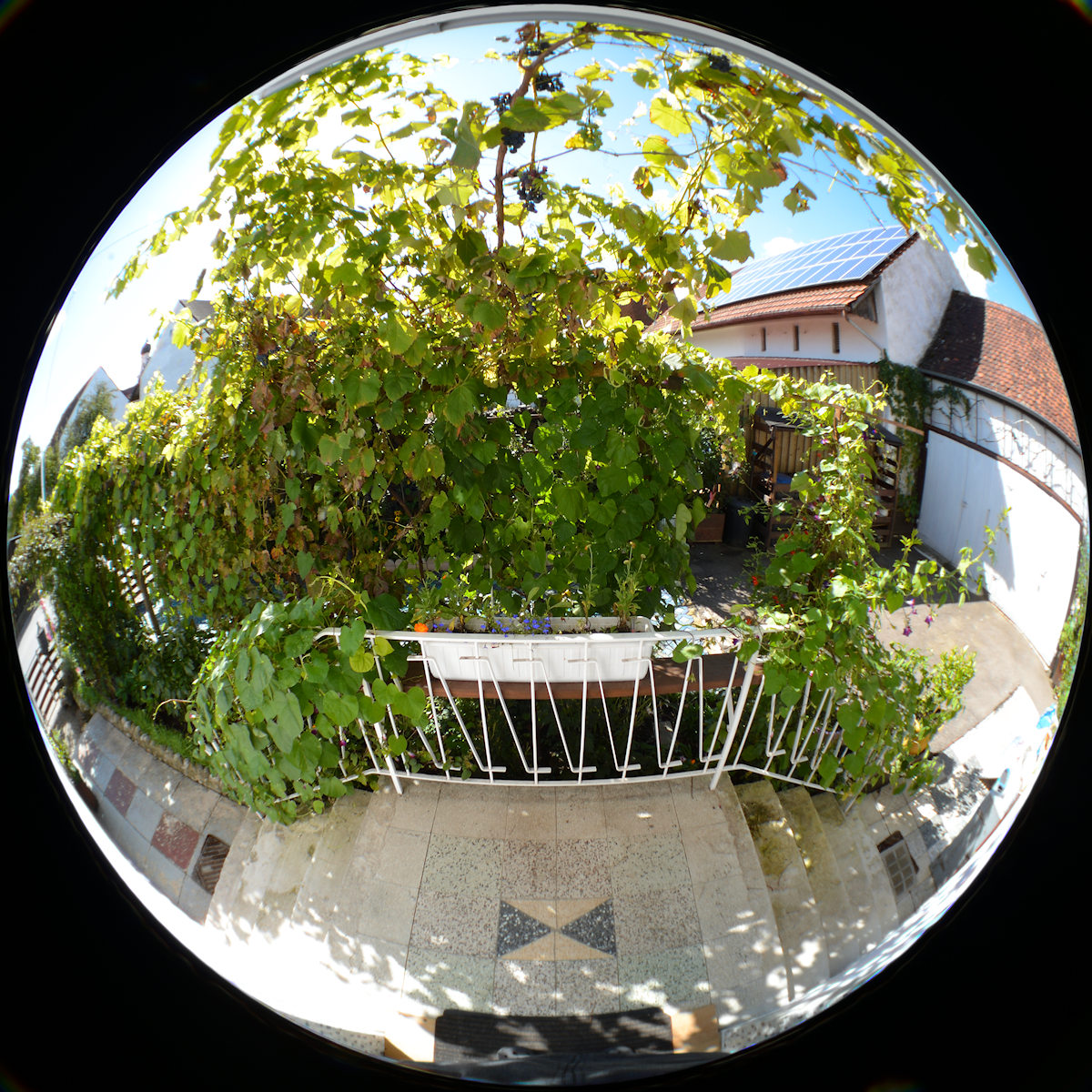 DSC 9451