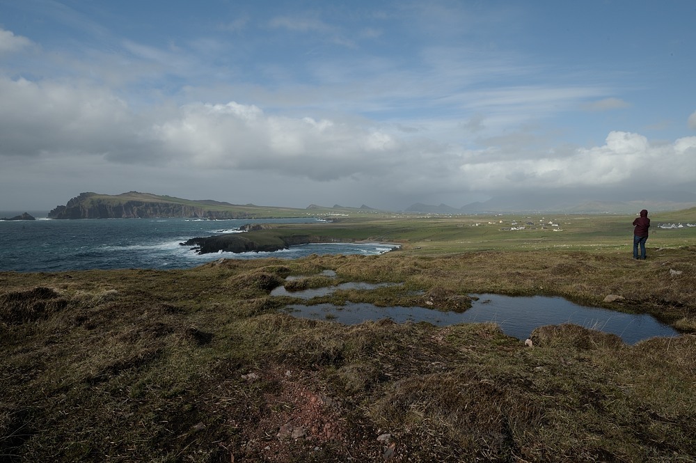DSC 9526b