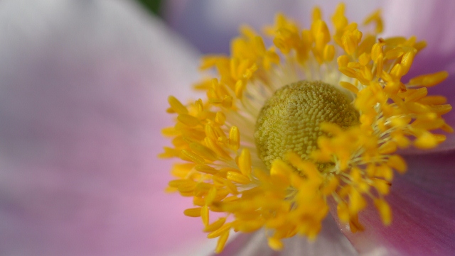 DSC 9547.2 (640x361)