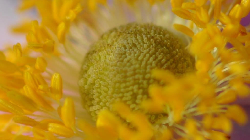 DSC 9547.3 (1024x577)