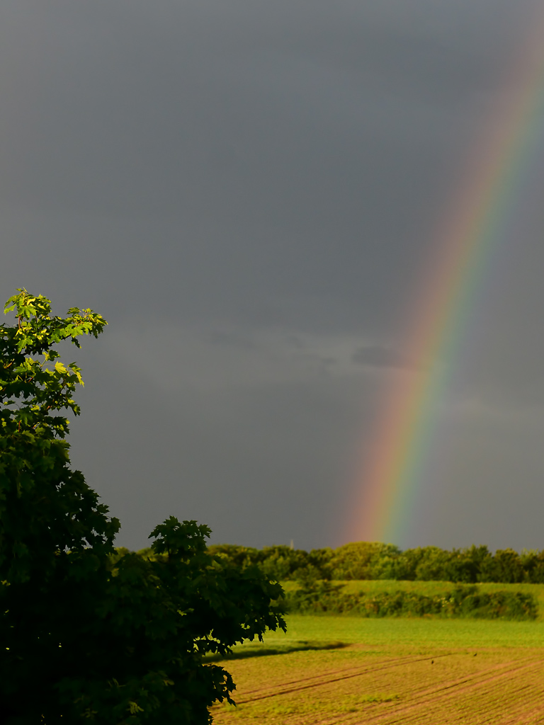 DSC 9604 Regenbogen